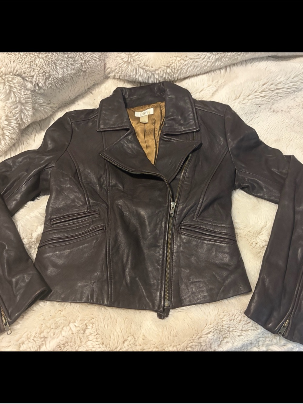 Women’s Dark Brown Leather Moto Jacket by Loft size 2